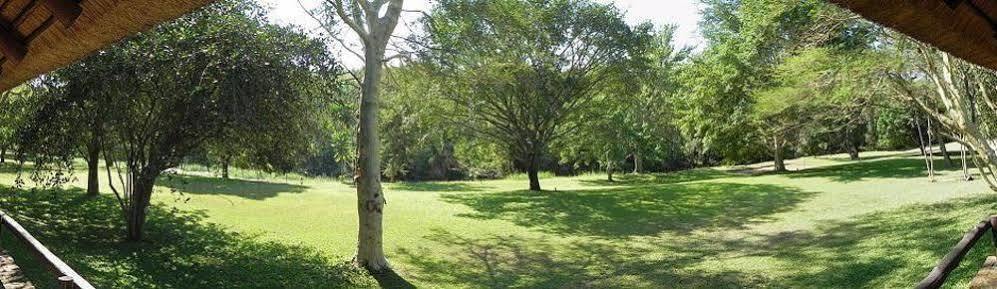 Kwambali Riverside Lodge Hazyview Zewnętrze zdjęcie